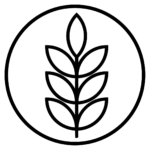 Gluten