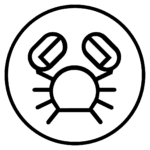 Crustacis