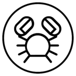 Crustacis