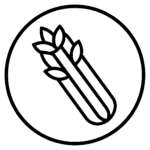 Api